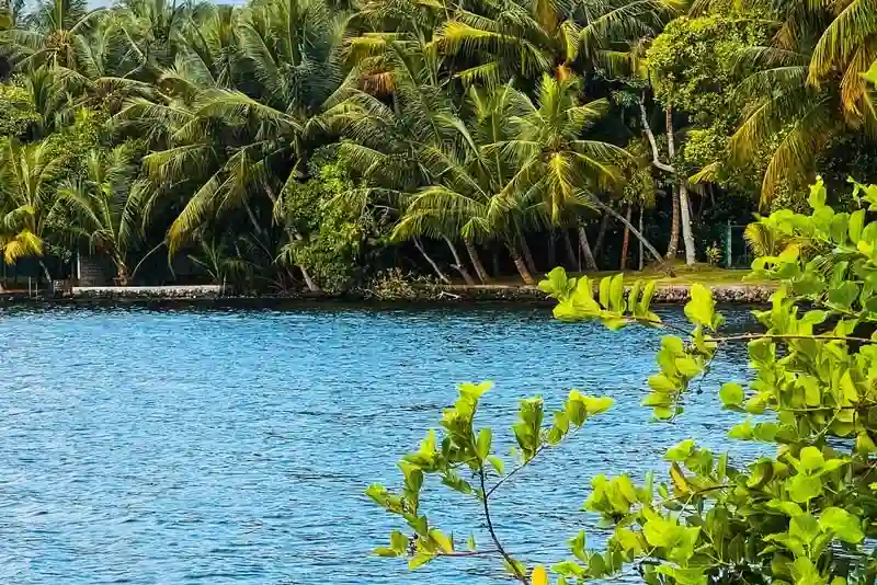 Ashtamudi travel destination